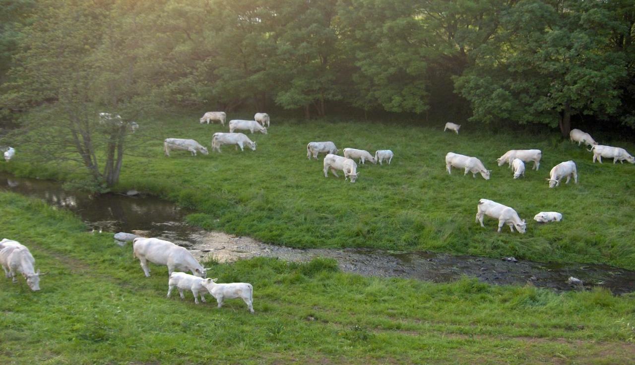 Altenschlirf Betzemuehle 2 Bauernhof 아파트 외부 사진