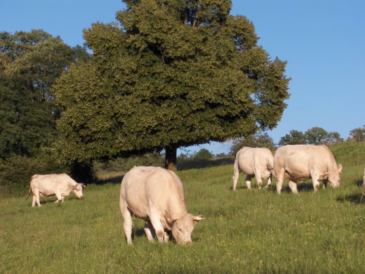 Altenschlirf Betzemuehle 2 Bauernhof 아파트 외부 사진